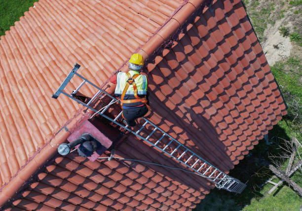 Best Roof Ventilation Installation  in Selbyville, DE